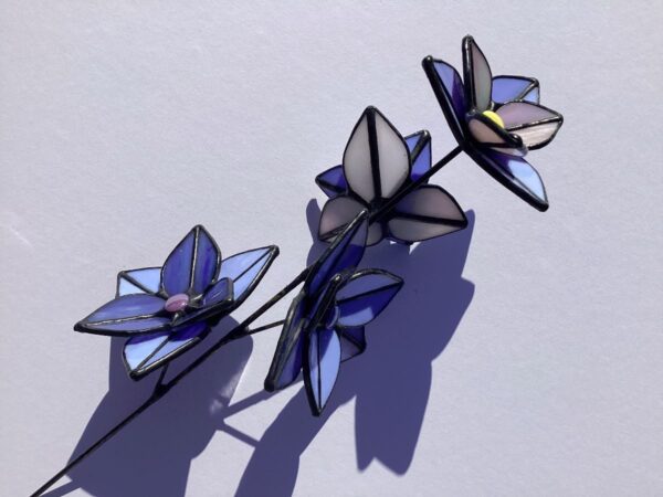 Scented Sun