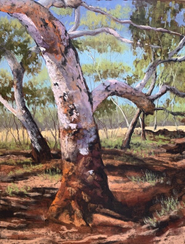 River Gum