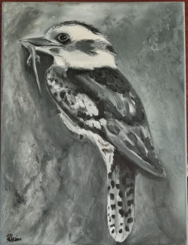 kookaburra “snack time”